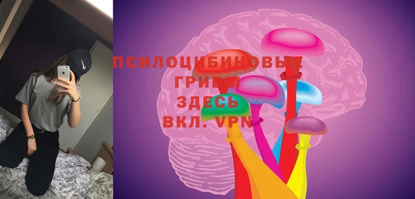 винт Каменка