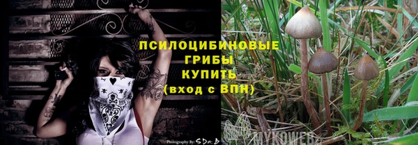 винт Каменка