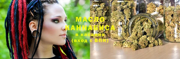 винт Каменка