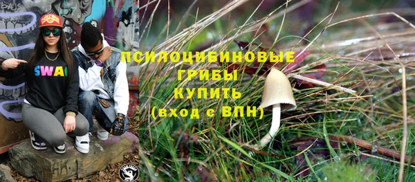 ешки Каменск-Шахтинский