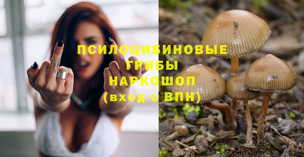 марки nbome Каменногорск