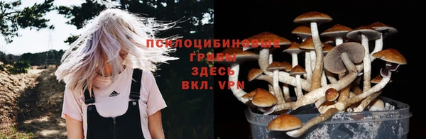 марки nbome Каменногорск